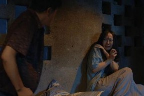 国产国产乱片,探索激情与梦想的视觉盛宴