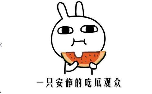 吃瓜视频是什么意思,网络热议背后的娱乐现象